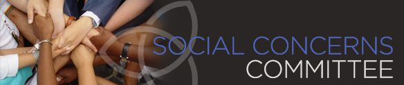 Social Concerns Committee Saint Bernadette Catholic Church Silver 